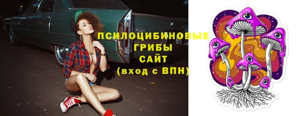 прущая мука Абаза
